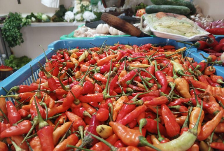 Jelang Ramadan, Harga Cabai Tembus Rp100 Ribu Per kilogram