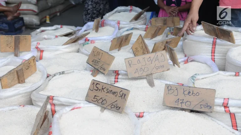 Stok Beras Bulog Tembus 3,5 Juta Ton, Pertama Kali dalam 57 Tahun